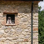 Ferienhaus Arco By Interhome